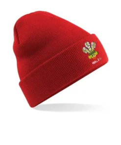 Wales Rugby Warm Winter Skull Cap Welsh Dragon Knitted Beanie Hat Unisex